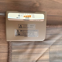 【決定済】山善　フローリング調ホットカーペットの画像