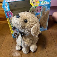 犬のおもちゃの画像