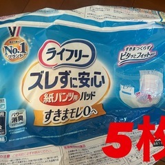 介護大人用おむつテープ止めLサイズとパッドのまとめ売りの画像
