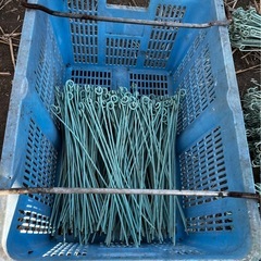 苺の葉よけ、玉(花)だしの針金の画像