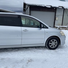 イプサムの画像