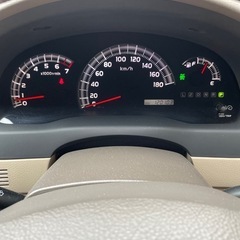 イプサムの画像