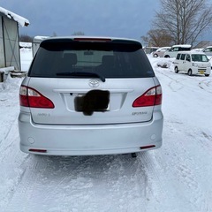 イプサムの画像