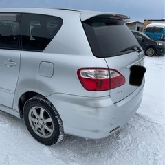 イプサムの画像