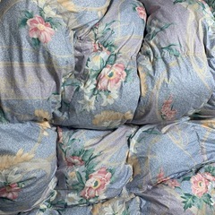 東洋羽毛シンフォニー敷羽毛布団W (わらび餅) 岩国のその他の中古