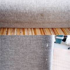 2人掛け　ローソファ　ソファベッド　フロアソファ　ファブリック　コンパクト　グレー系　省スペース　インテリアの画像