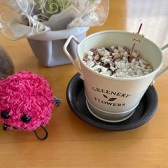 観葉植物とコケと他セット！の画像