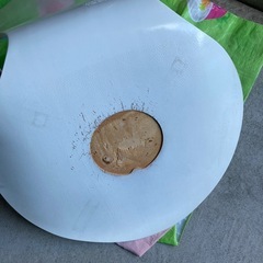 セブンチェア　リプロダクト　訳あり　イタリア製の画像