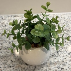 人工 観葉植物(本物ではありません)の画像
