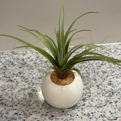人工 観葉植物(本物ではありません)の画像