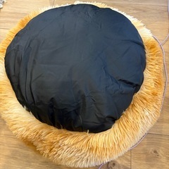 犬用　ベット
の画像