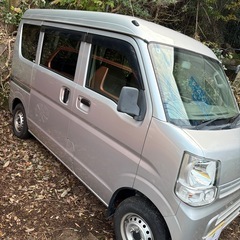 希少なバンいかがですか？の画像