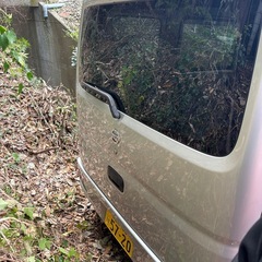 希少なバンいかがですか？の画像