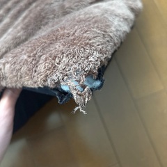 ペット　テントベットの画像