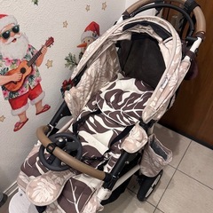 ハワイ限定エアバキー の画像