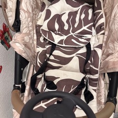 ハワイ限定エアバキー の画像