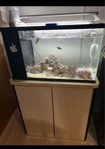 海水専用水槽 (くくる) 赤嶺のその他の中古あげます・譲ります