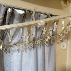 洗濯物干し、ハンガーなどの画像