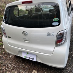 安定のミライースの画像