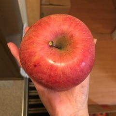 サンふじ🍎10㎏　の画像