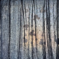 IKEA ブルー カーテンの画像