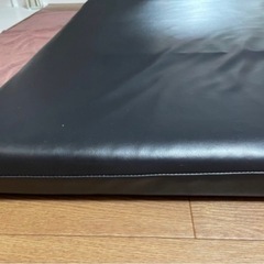 マット　サバイDX【forオイル】　電気ヒーター付きの画像