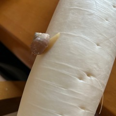 かたつむりの画像