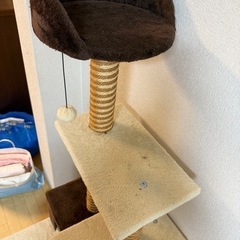 キャットタワーの画像
