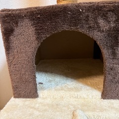 キャットタワーの画像