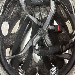 ALPINA（アルピナ）自転車用ヘルメットの画像