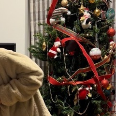 背の高いクリスマスツリー　210cmの画像