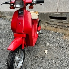 美車！　ホンダ　スカイの画像