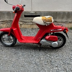 美車！　ホンダ　スカイの画像