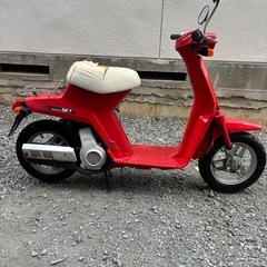 美車！　ホンダ　スカイの画像