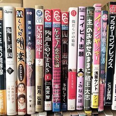 BL系　漫画　小説　まとめ　48冊の画像