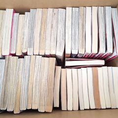 BL系　漫画　小説　まとめ　48冊の画像