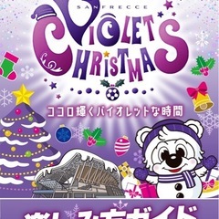 サンフレッチェレッジーナ広島対ノジマステラ神奈川戦2枚　物々交換など可能です。の画像