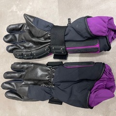 SWANS（スワンズ） 製のスキーグローブの画像