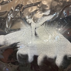 Tシャツ　金爆　ゴールデンボンバーの画像