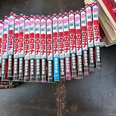 漫画　暁のヨナの画像