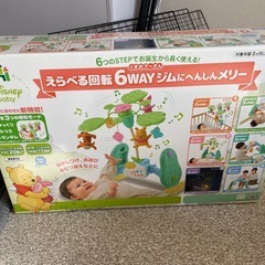 プーメリーの中古が安い！激安で譲ります・無料であげます｜ジモティー