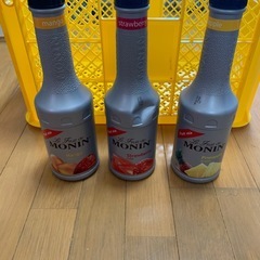 モナンシロップMONIN かき氷シロップなどの画像