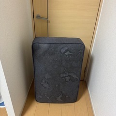 2人掛けローソソファ の画像