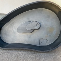 亀　メダカ　金魚　プール　池の画像