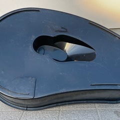 亀　メダカ　金魚　プール　池の画像