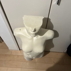 マネキン　トルソーの画像