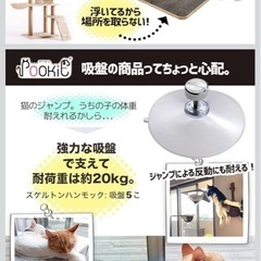 POOKIE　窓用キャットボウルの画像