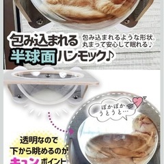 POOKIE　窓用キャットボウルの画像