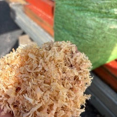 杉の鉋クズの画像