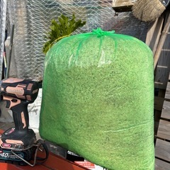 杉の鉋クズの画像